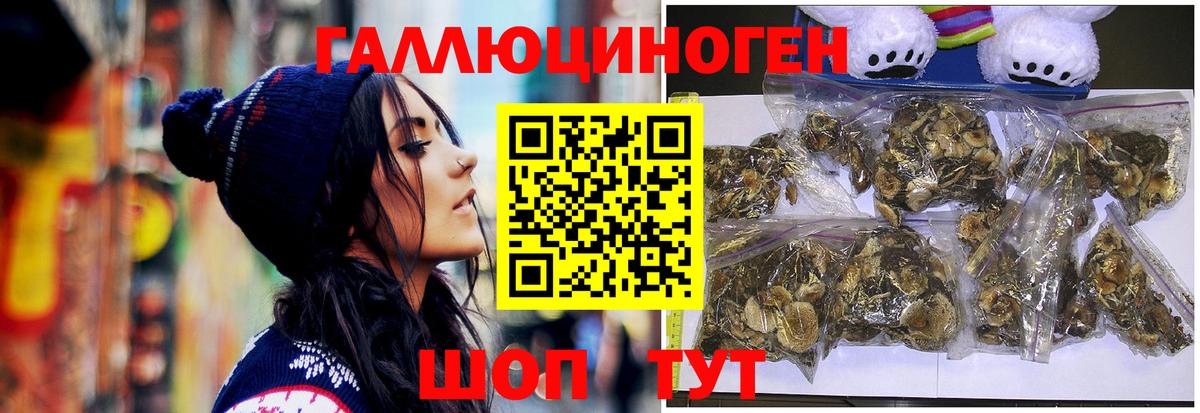 Псилоцибиновые грибы ЛСД  Вход с VPN  Тайшет 