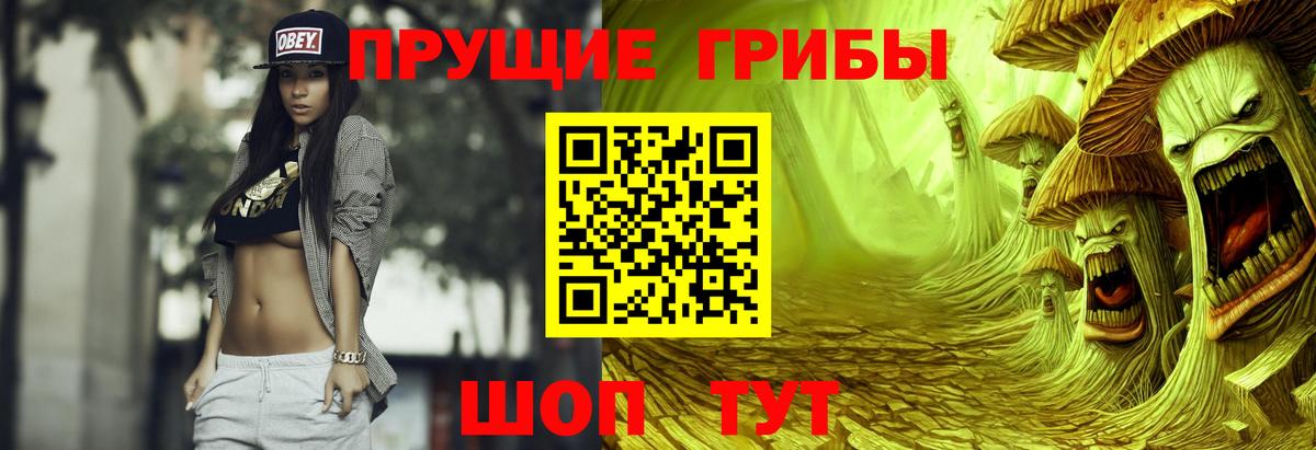 Псилоцибиновые грибы мухоморы Тайшет